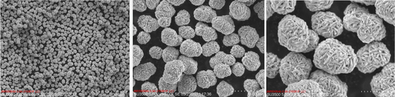 Précurseur matériel du précurseur NMC d'oxyde de cobalt de manganèse de nickel de lithium de cathode de batterie